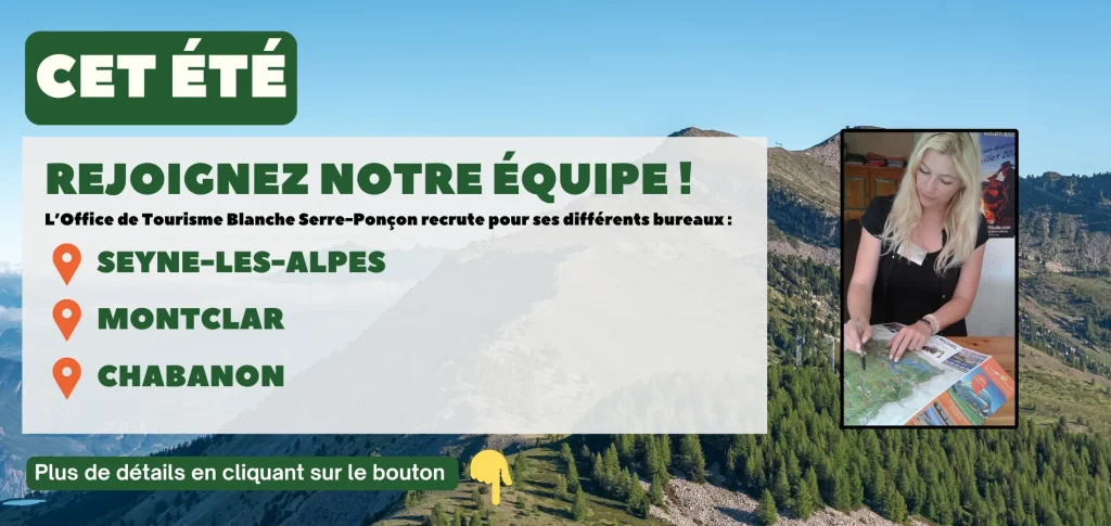 Annonce Offre Emploi Saisonnier BSP